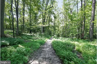 11450 Edge Hill Road, Newburg, MD 20664 - Photo 54