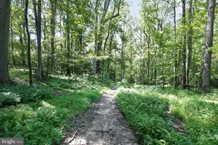11450 Edge Hill Rd, Newburg, MD 20664 - Photo 54