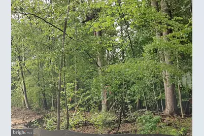 13135 Alyson Place, Charlotte Hall, MD 20622 - Photo 2