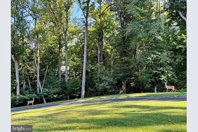 9347 Stonestreet Road, La Plata, MD 20646 - Photo 64