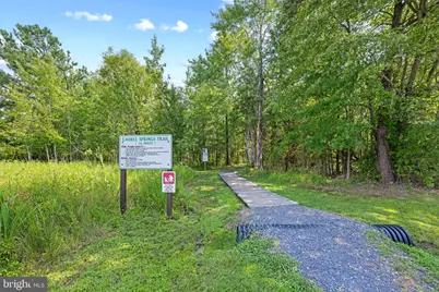 526 Twisted Twig Lane, La Plata, MD 20646 - Photo 46