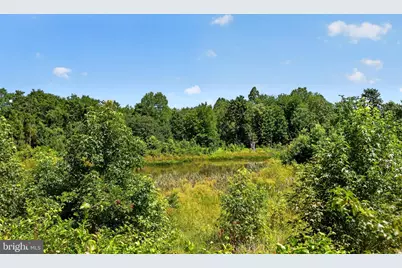 6816 Barlowe Court, Hughesville, MD 20637 - Photo 32