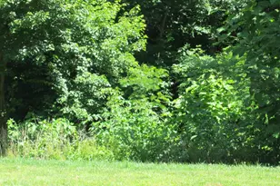 6500 Fire Tower Rd, Welcome, MD 20693 - Photo 18
