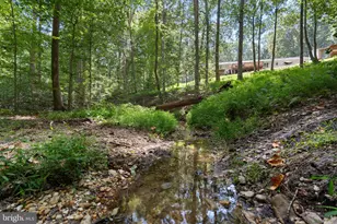 7710 Walking Deer Pl, Port Tobacco, MD 20677 - Photo 46