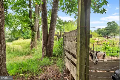 8935 Fairground Road, Bel Alton, MD 20611 - Photo 40
