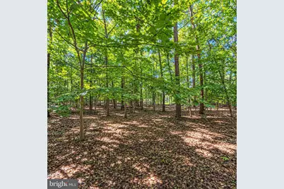 Unknown, Waldorf, MD 20603 - Photo 16