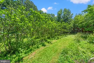4730 Bicknell Rd, Marbury, MD 20658 - Photo 66