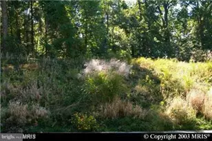 [Address not provided], Bryans Road, MD 20616 - Photo 1