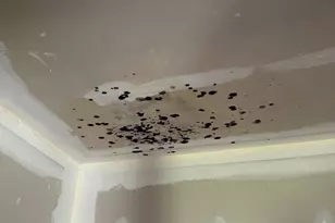 24872 Meeting House Rd, Denton, MD 21629 - Photo 40