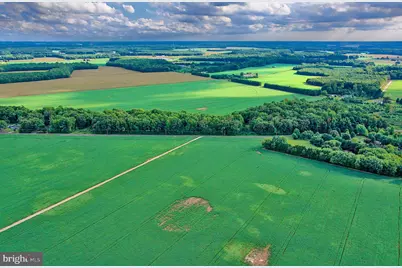 Iron Gate Road, Federalsburg, MD 21632 - Photo 24