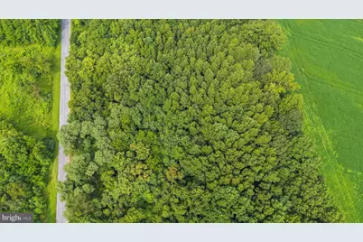 Burnt Mill Road, Ridgely, MD 21660 - Photo 6