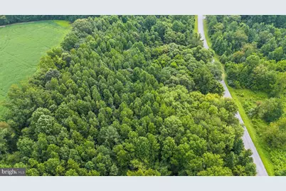 Burnt Mill Road, Ridgely, MD 21660 - Photo 8