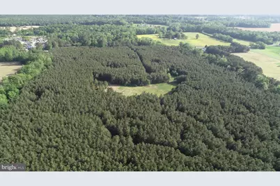 Dover Bridge Road, Preston, MD 21655 - Photo 1