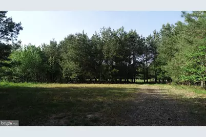 Dover Bridge Road, Preston, MD 21655 - Photo 20