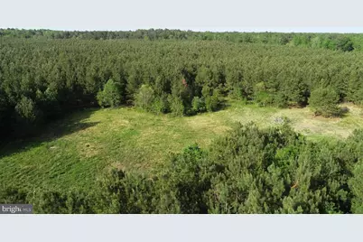 Dover Bridge Road, Preston, MD 21655 - Photo 4