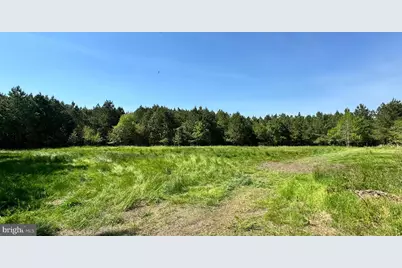 Dover Bridge Road, Preston, MD 21655 - Photo 10