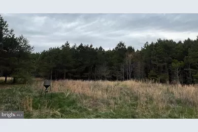 Dover Bridge Road, Preston, MD 21655 - Photo 18