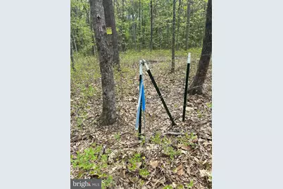 Parcel 91 Cool Spring, Marydel, MD 21649 - Photo 12