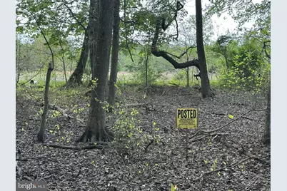 Parcel 91 Cool Spring, Marydel, MD 21649 - Photo 14