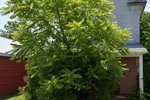 204 Academy Ave, Federalsburg, MD 21632 - Photo 4