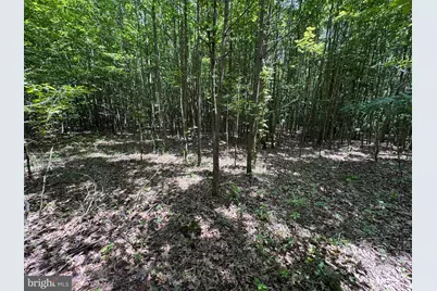 Trunk Line Road, Henderson, MD 21640 - Photo 4