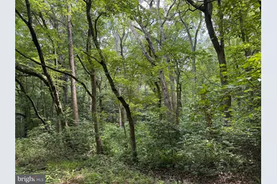 Trunk Line Road, Henderson, MD 21640 - Photo 4