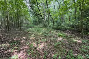 Trunk Line Rd, Henderson, MD 21640 - Photo 1
