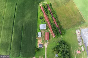 25699 Auction Rd, Federalsburg, MD 21632 - Photo 70