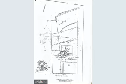 25749 Herring Lane, Denton, MD 21629 - Photo 48