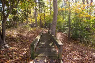 24276 Asbury Dr, Denton, MD 21629 - Photo 44