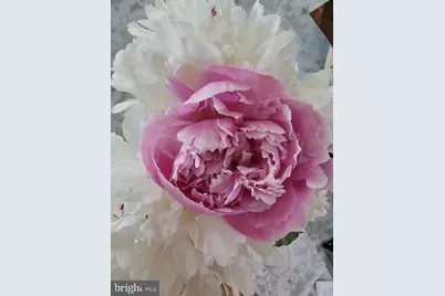 5585 Harmony Woods Drive, Preston, MD 21655 - Photo 54