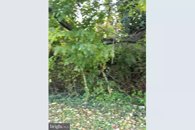 26519 3 Bridges Road, Federalsburg, MD 21632 - Photo 1