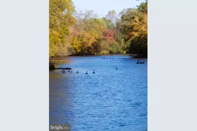 12820 Porters Landing Road, Greensboro, MD 21639 - Photo 28