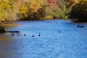 12820 Porters Landing Rd, Greensboro, MD 21639 - Photo 28