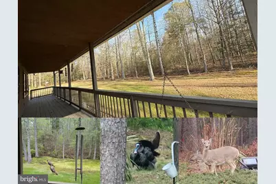 12820 Porters Landing Road, Greensboro, MD 21639 - Photo 4