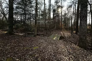 12820 Porters Landing Rd, Greensboro, MD 21639 - Photo 18