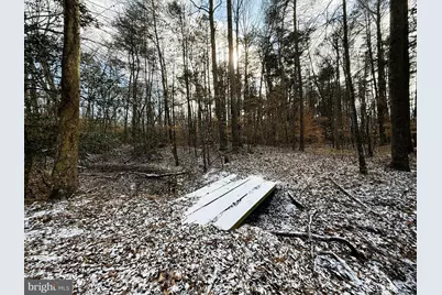 12820 Porters Landing Road, Greensboro, MD 21639 - Photo 20