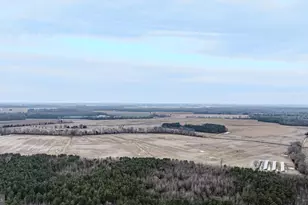 25056 E Cherry Ln, Greensboro, MD 21639 - Photo 68