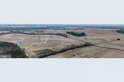 25056 E Cherry Lane, Greensboro, MD 21639 - Photo 66