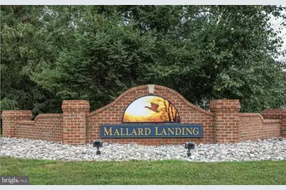 1204 Blue Heron Drive, Denton, MD 21629 - Photo 1