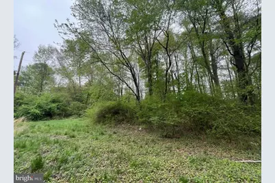 Nelpine Road, Preston, MD 21655 - Photo 2