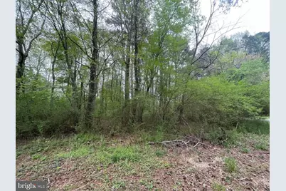 Nelpine Road, Preston, MD 21655 - Photo 4