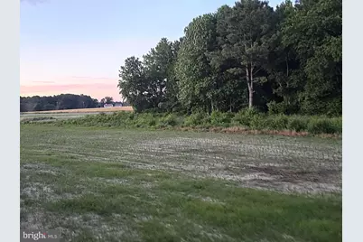 8019 Patten Road, Denton, MD 21629 - Photo 6