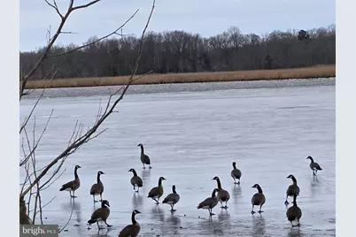 23116 Gilpin Point Road, Preston, MD 21655 - Photo 10