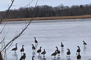 23116 Gilpin Point Rd, Preston, MD 21655 - Photo 10