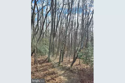 15589 Union Road, Goldsboro, MD 21636 - Photo 4