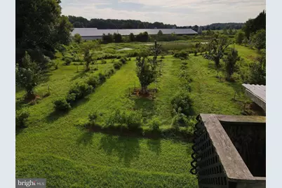 Cool Spring Rd, Marydel, MD 21649 - Photo 16