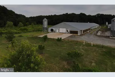 Cool Spring Rd, Marydel, MD 21649 - Photo 10
