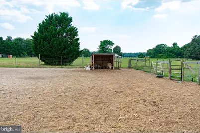 22408 Hog Creek Road, Preston, MD 21655 - Photo 28