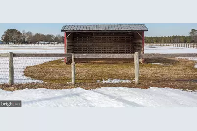 [Address not provided], Federalsburg, MD 21632 - Photo 18